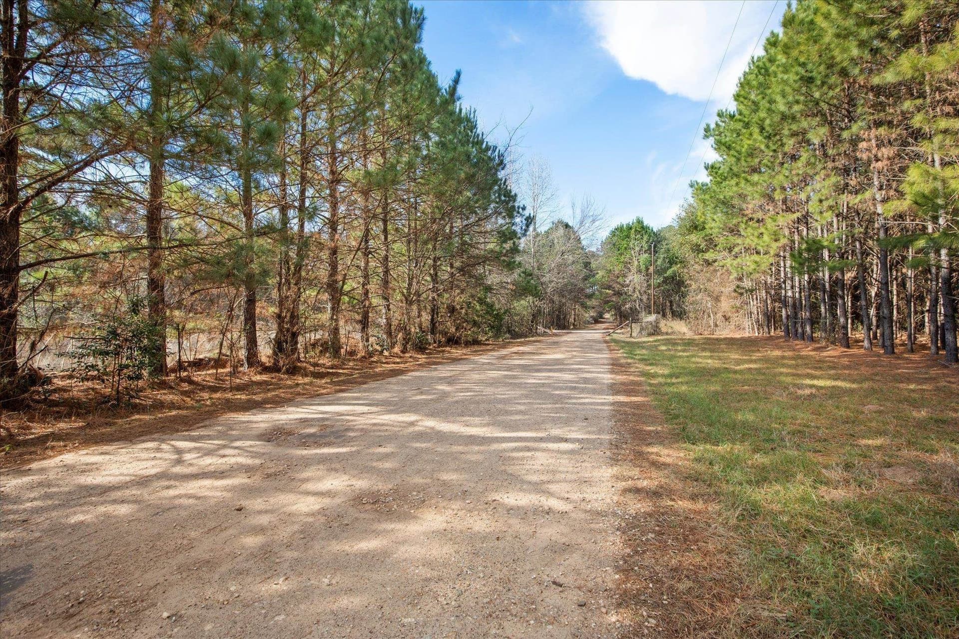 5.2 acres in Wood County - photo 11