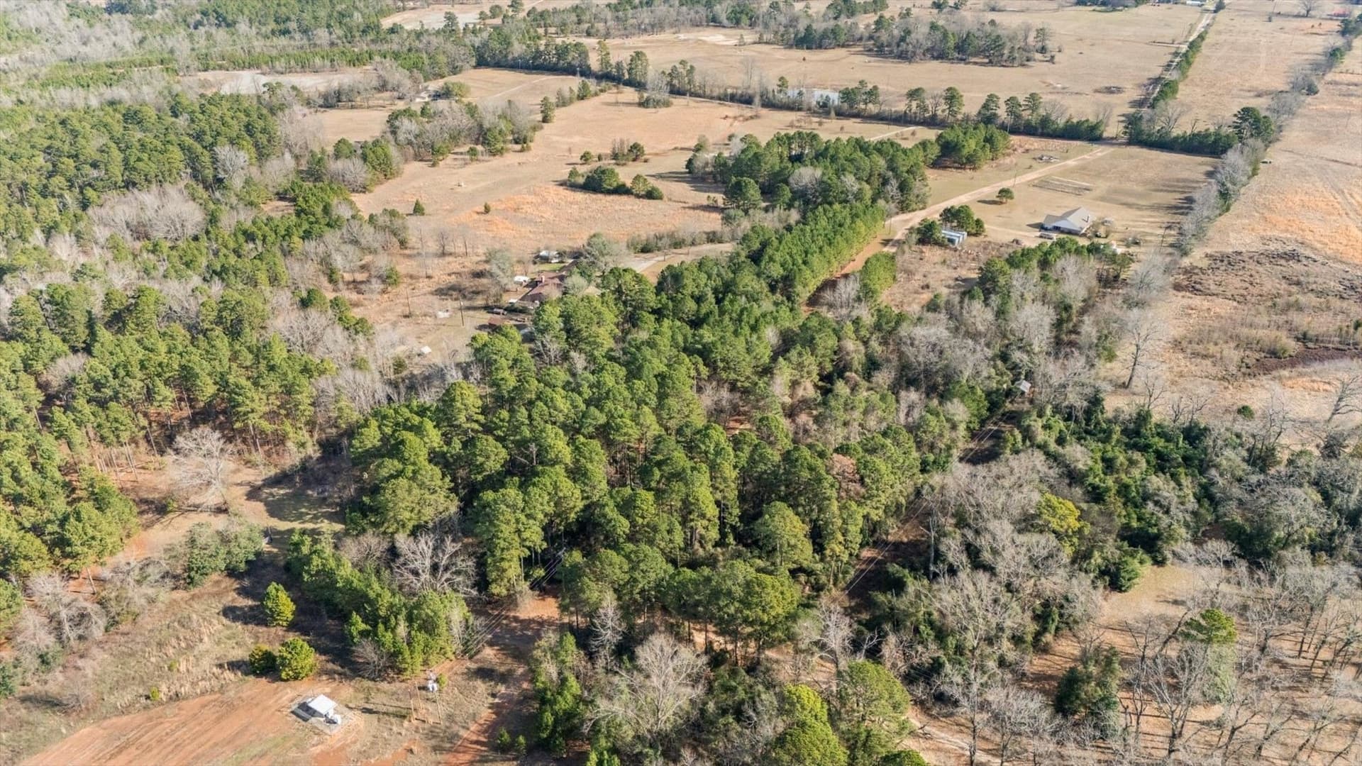 5.2 acres in Wood County - photo 6