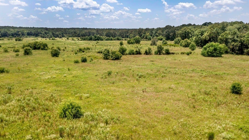 388.14 acres in Texas County - photo 13