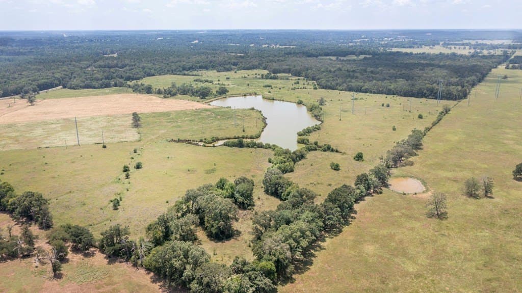 388.14 acres in Texas County gallery image 4