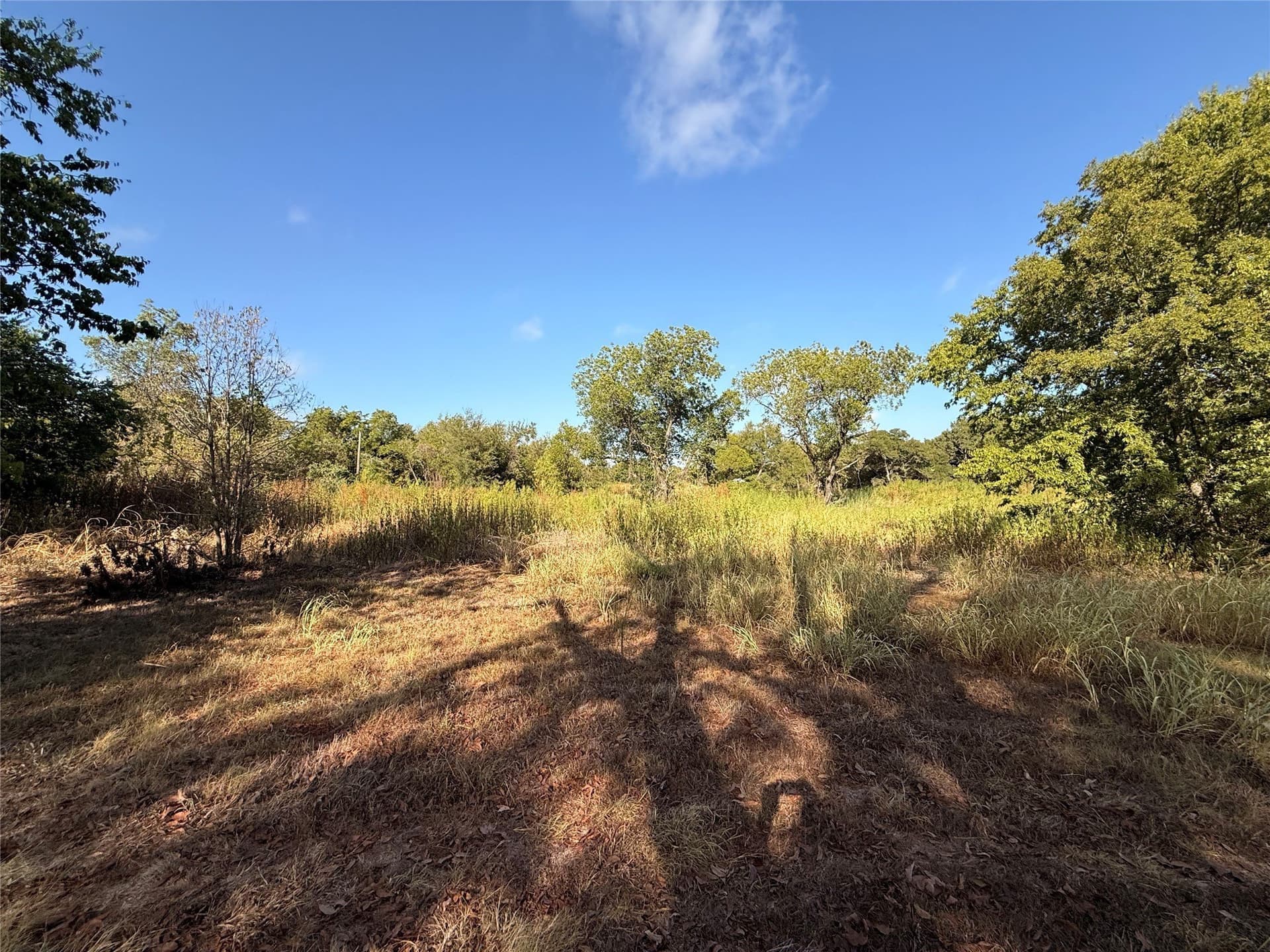 2 acres in Hill County - photo 9