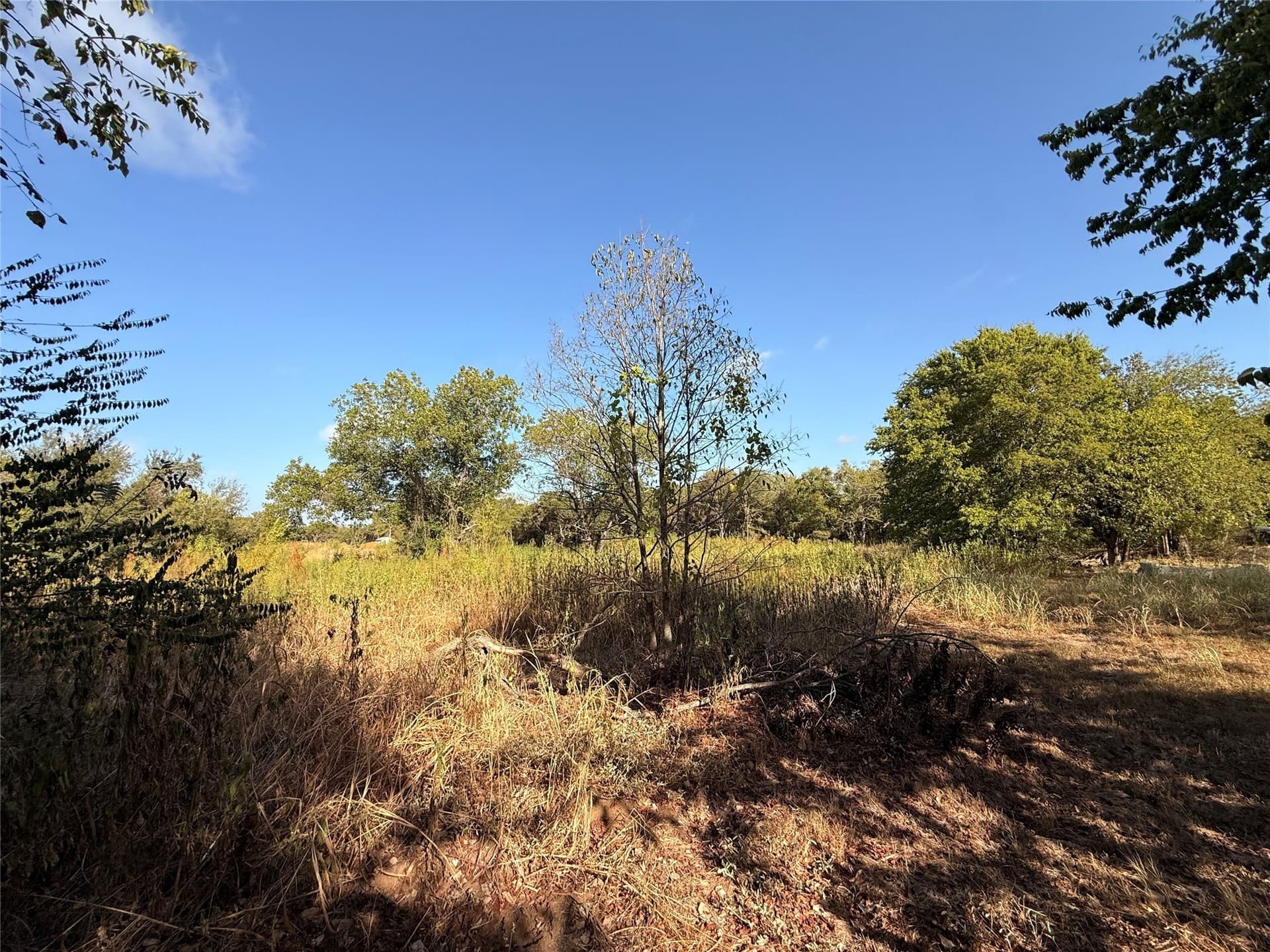 2 acres in Hill County - photo 11