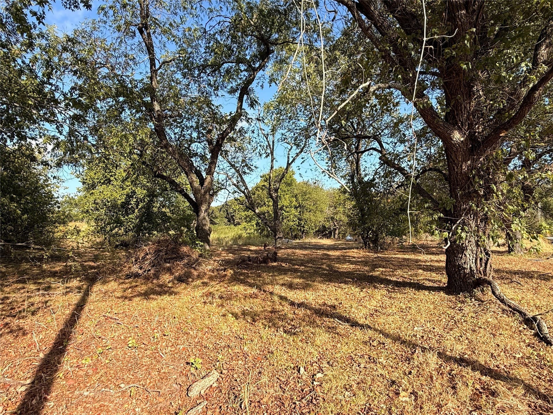 2 acres in Hill County - photo 15