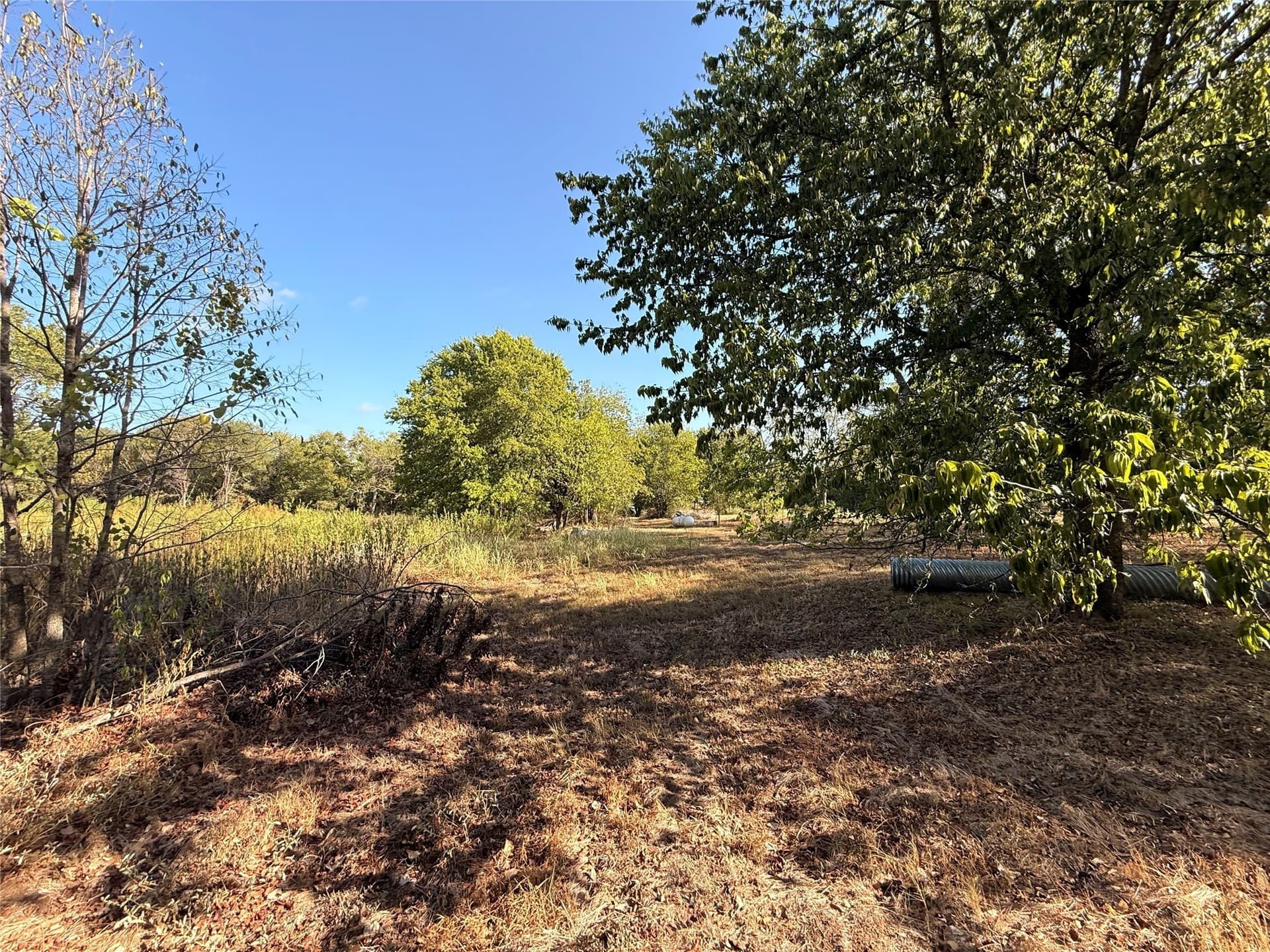 2 acres in Hill County - photo 10
