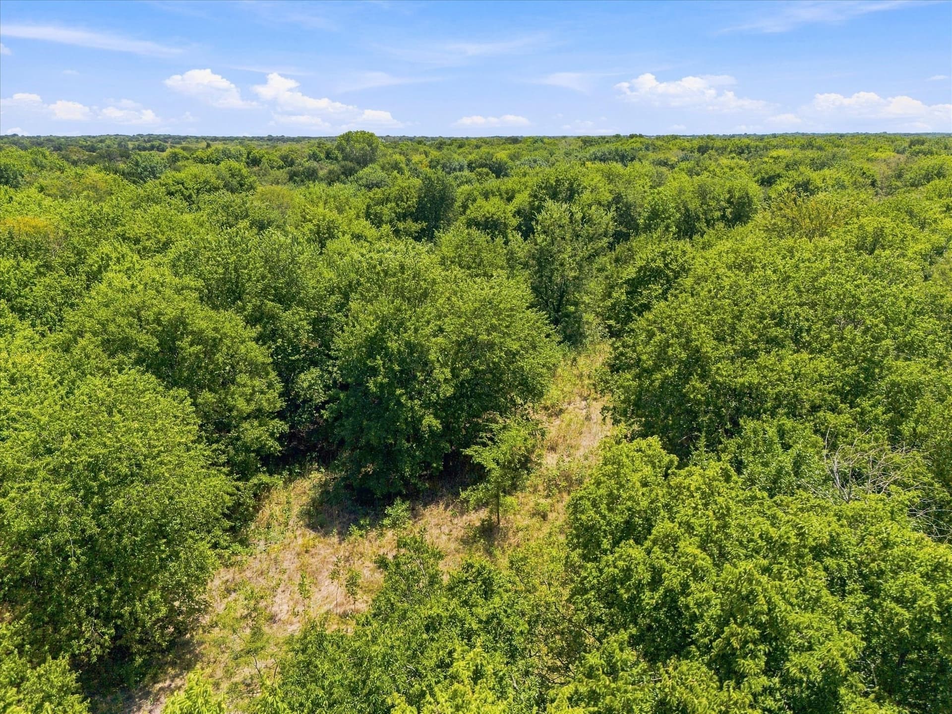 46 acres in Hunt County - photo 14
