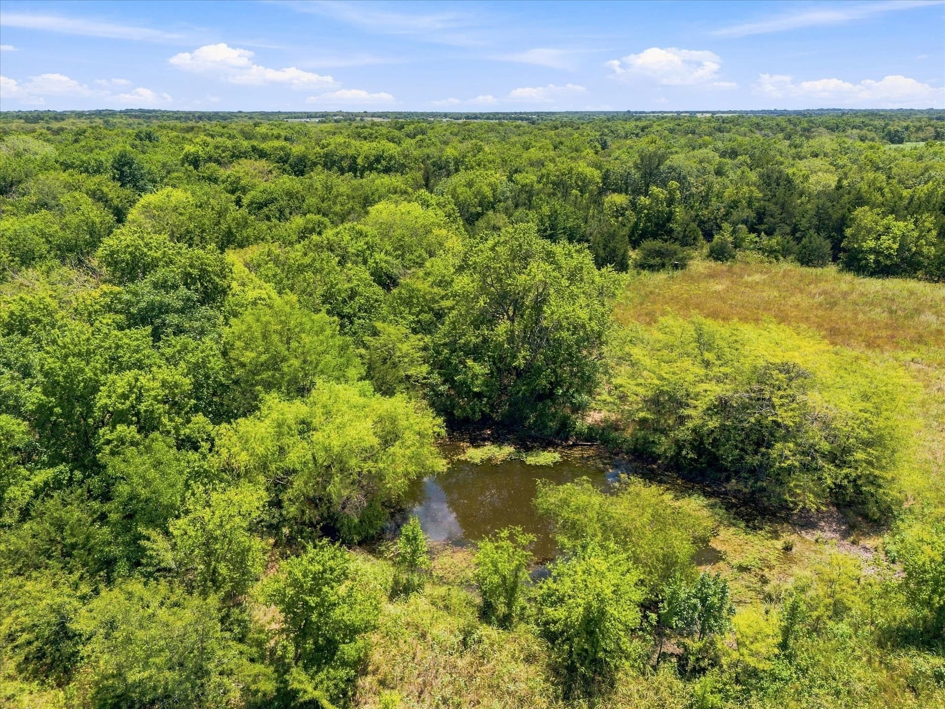 46 acres in Hunt County - photo 15