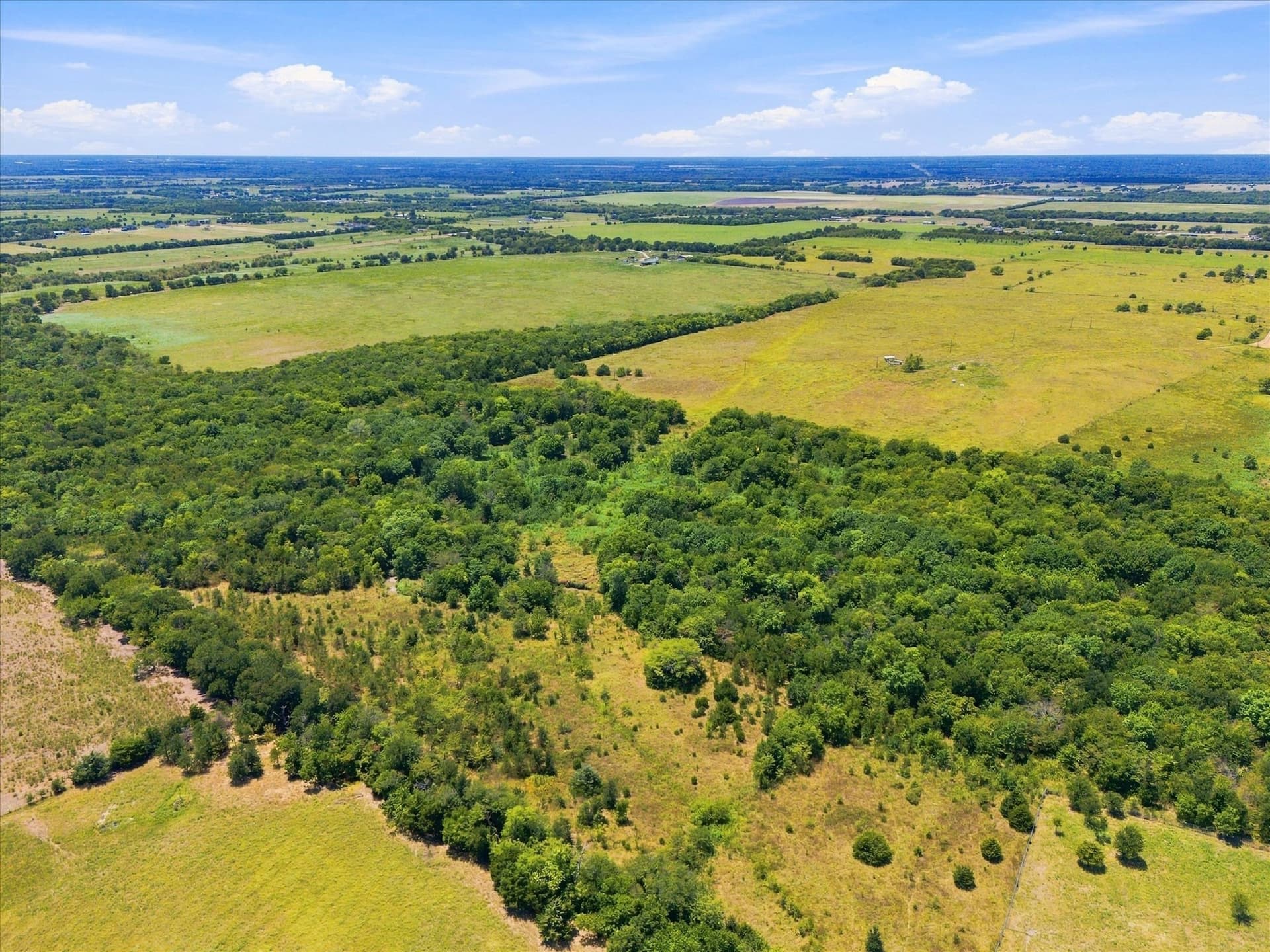 46 acres in Hunt County - photo 7