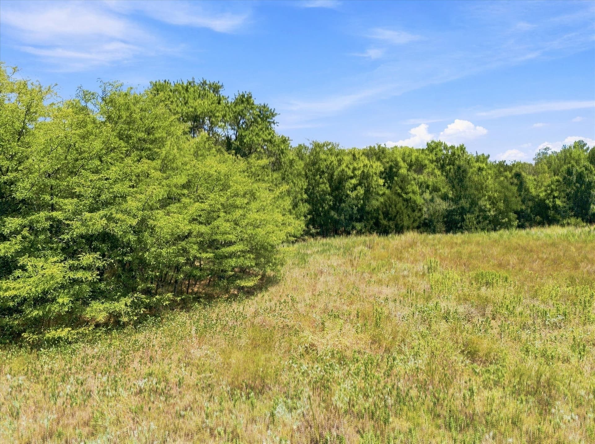 46 acres in Hunt County - photo 18