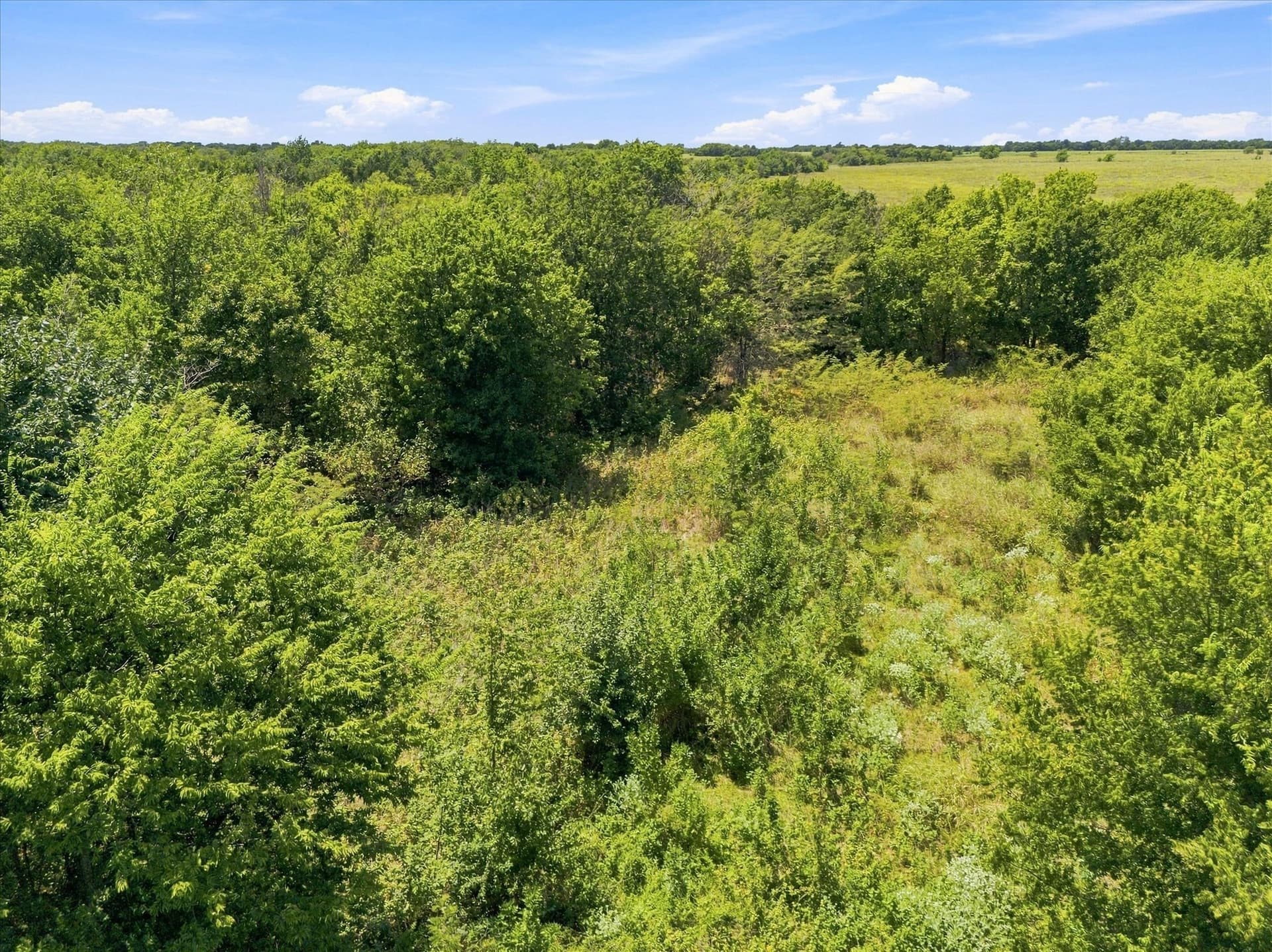 46 acres in Hunt County - photo 29