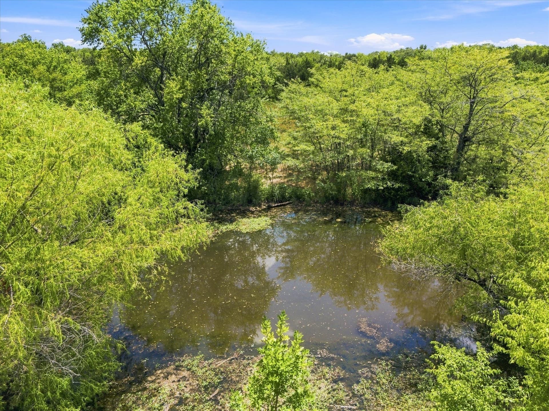 46 acres in Hunt County - photo 31