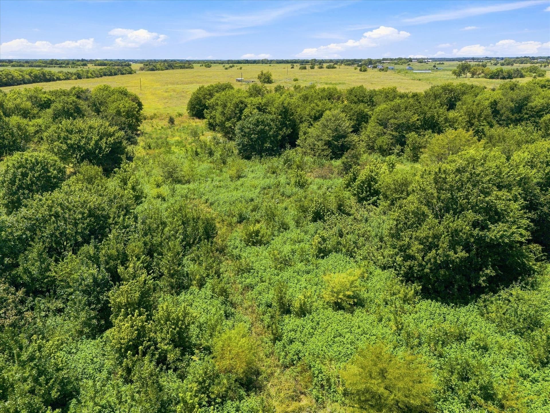 46 acres in Hunt County - photo 22