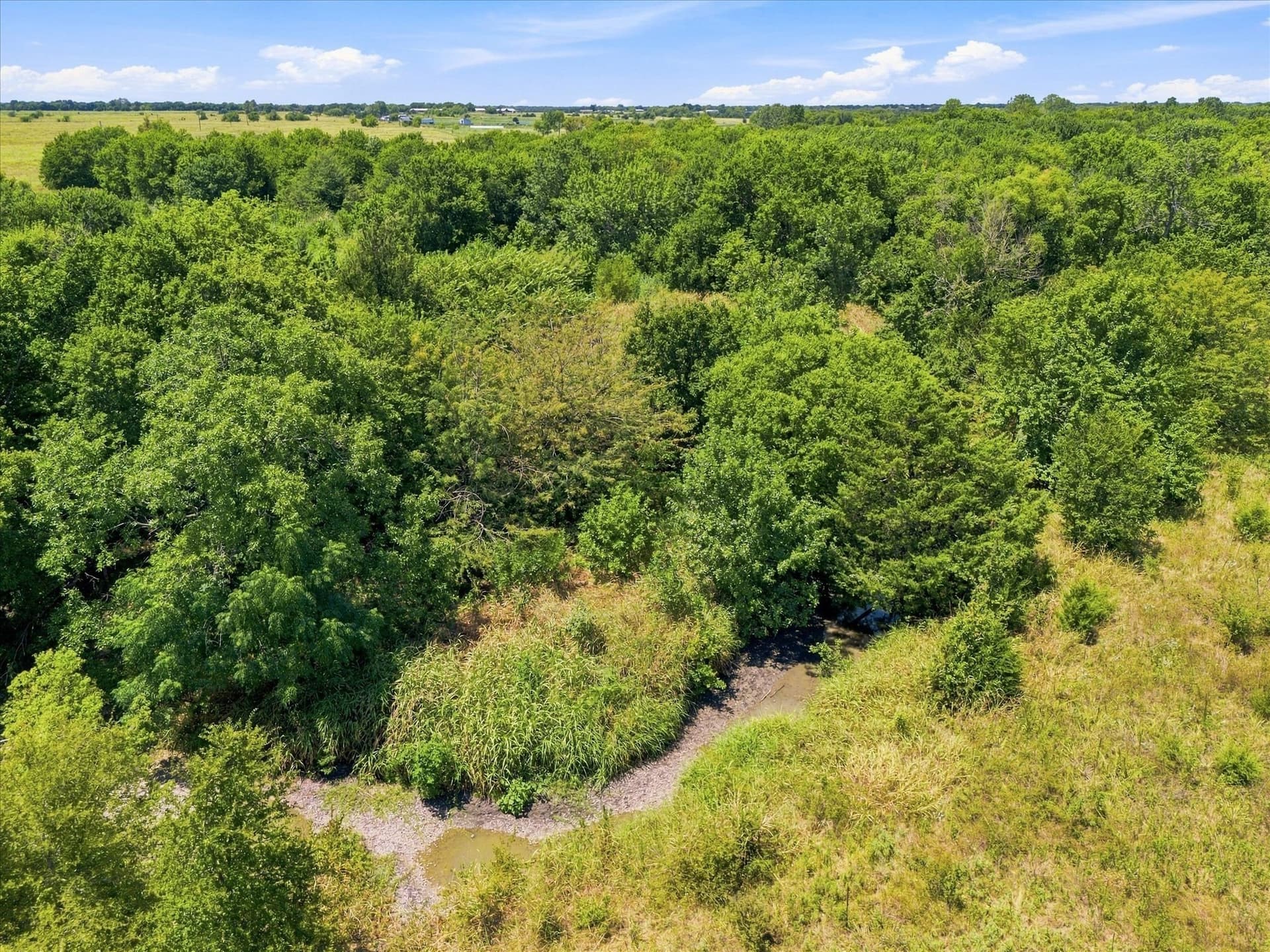 46 acres in Hunt County - photo 20