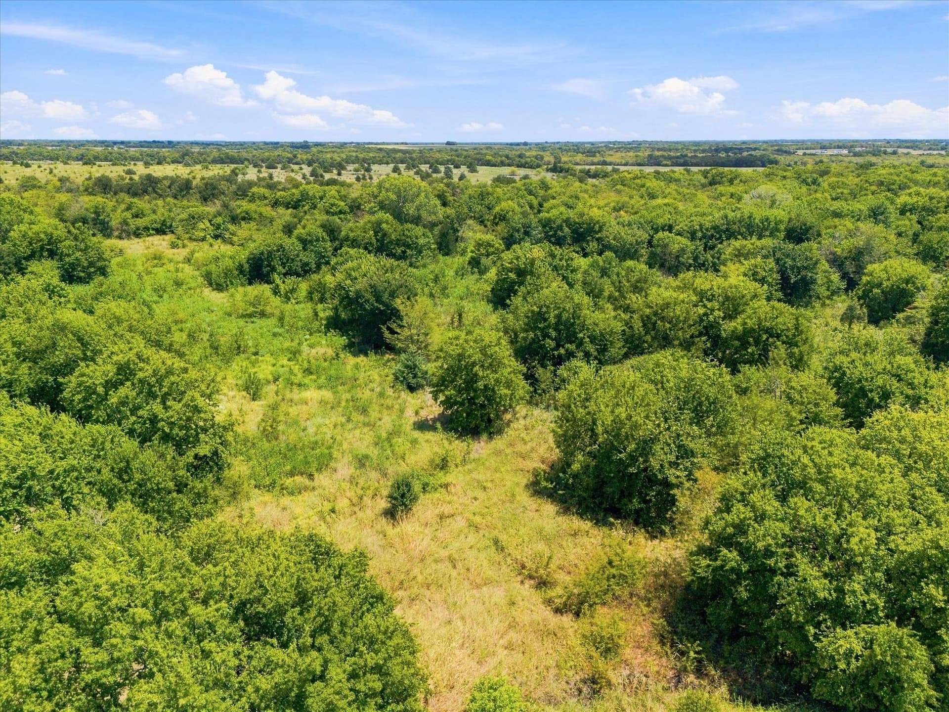 46 acres in Hunt County - photo 27