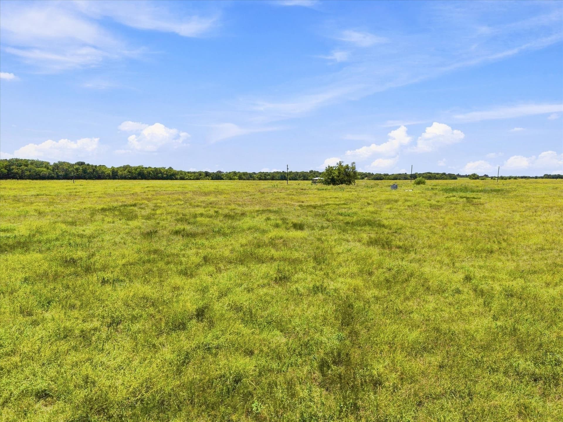 46 acres in Hunt County - photo 13