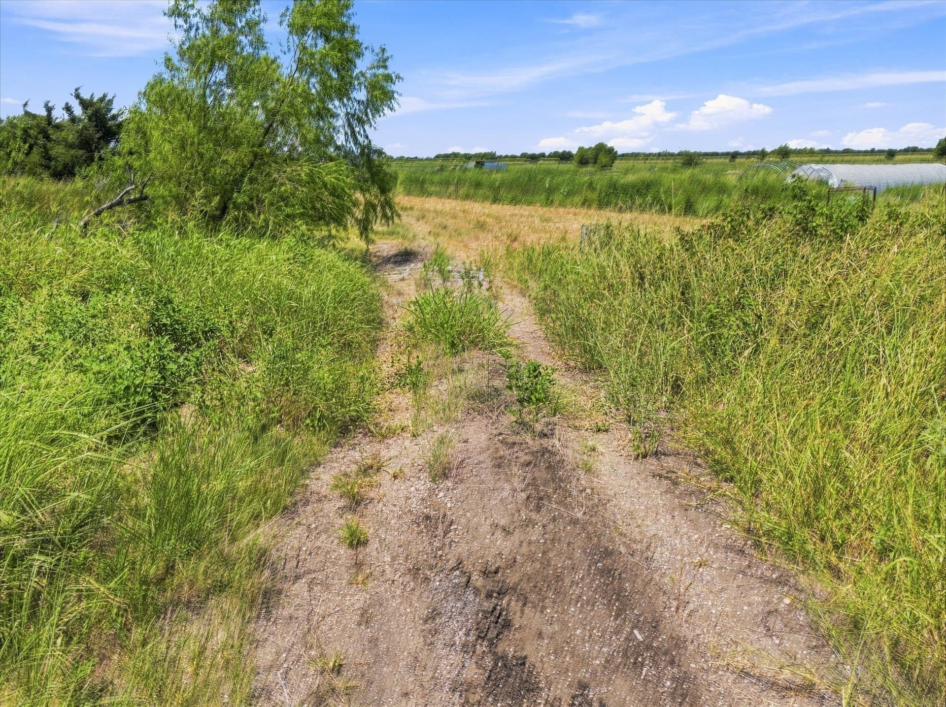 46 acres in Hunt County - photo 9