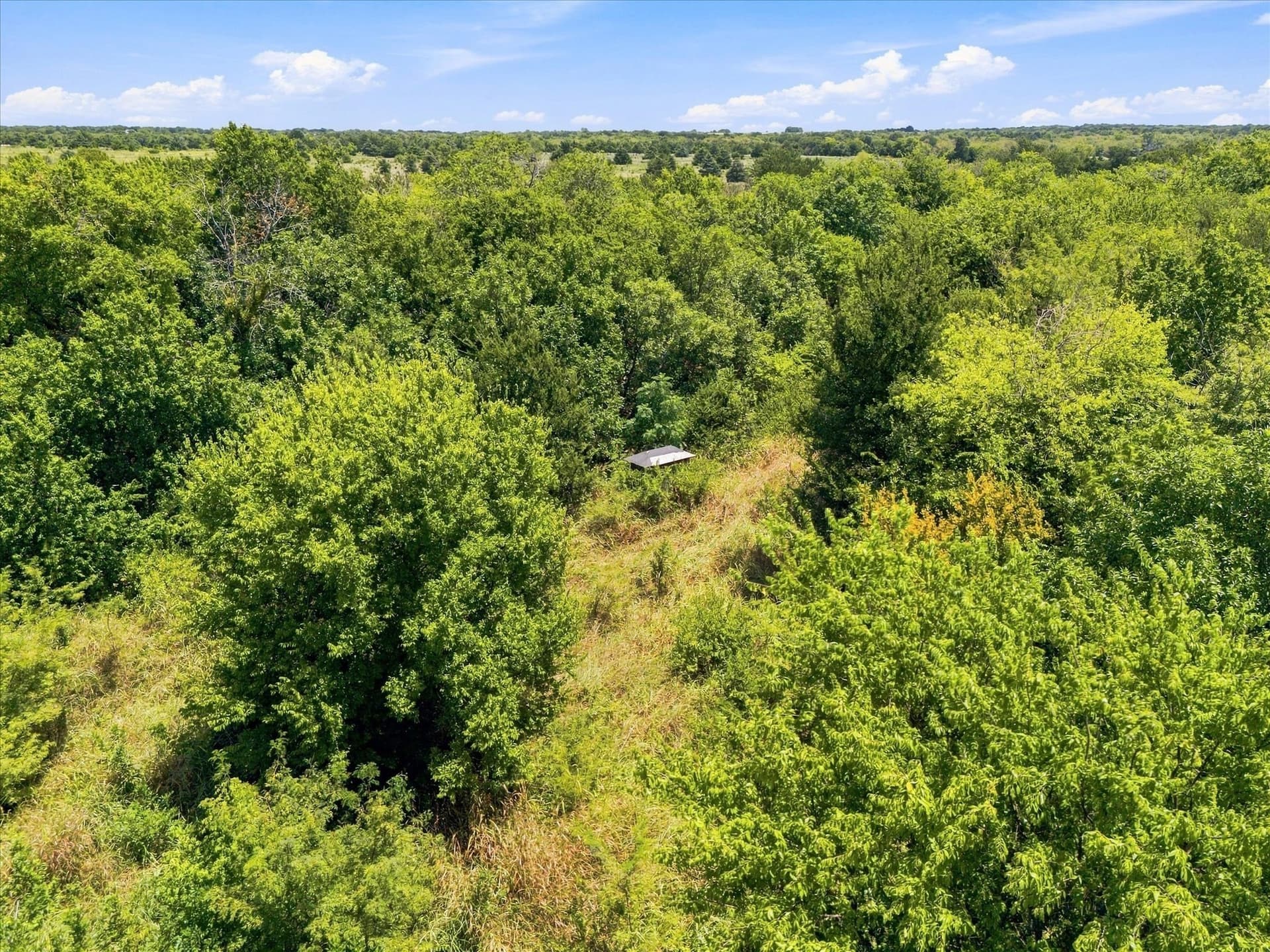 46 acres in Hunt County - photo 19