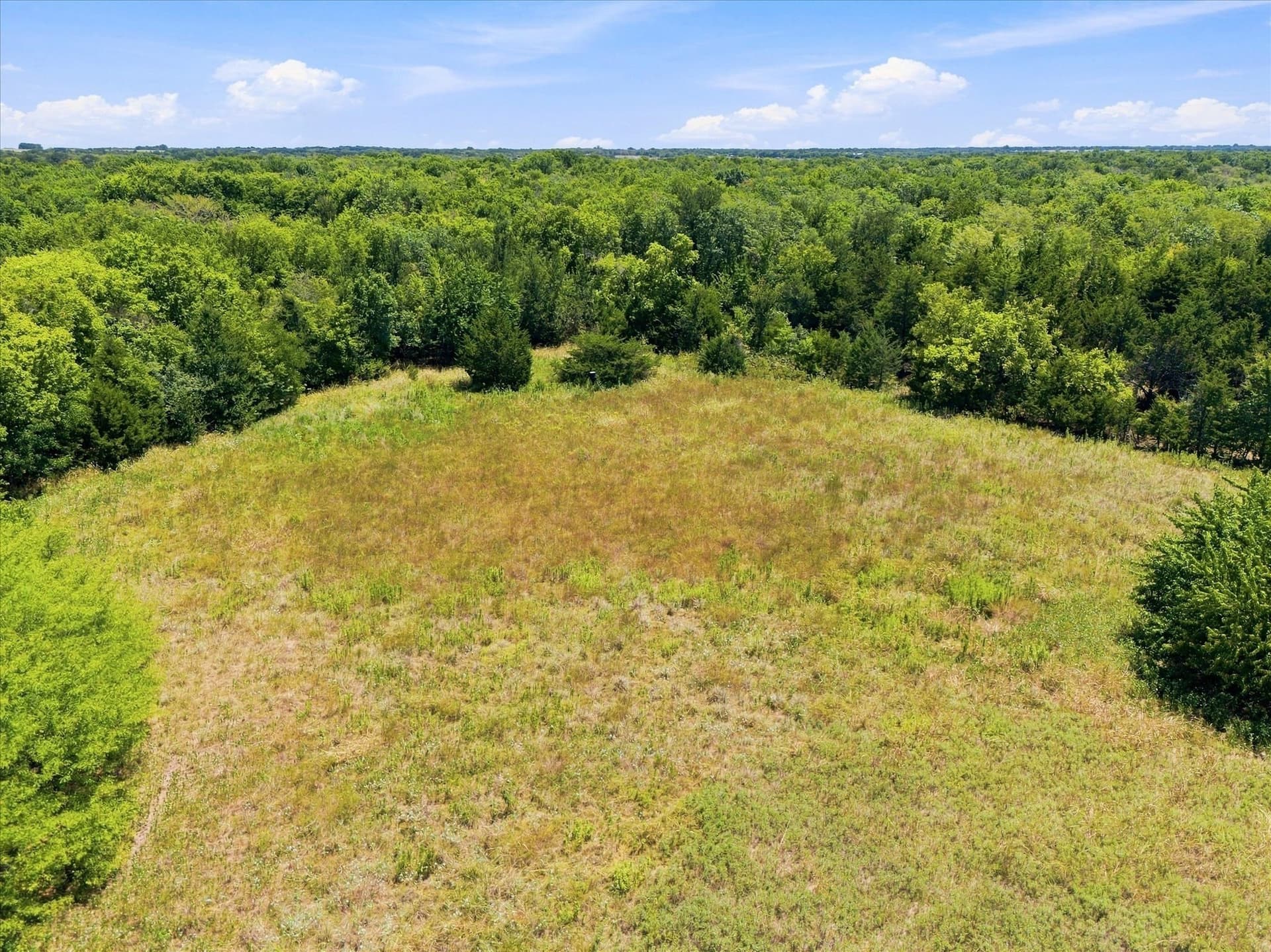 46 acres in Hunt County - photo 16