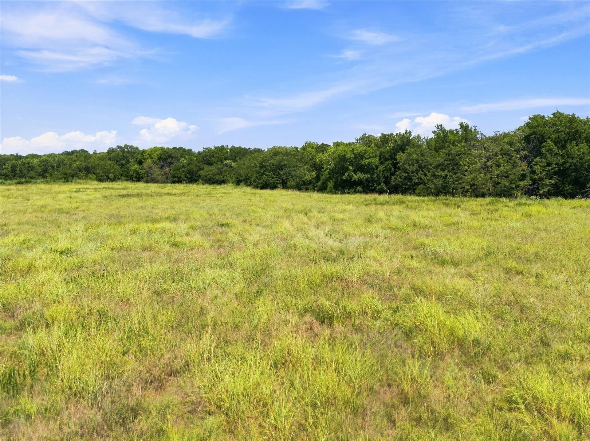 46 acres in Hunt County - photo 32