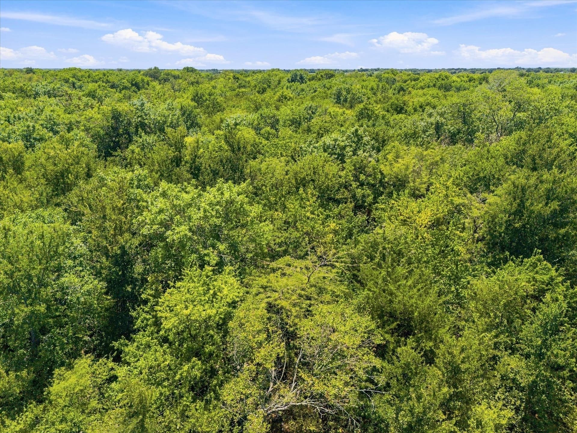 46 acres in Hunt County - photo 28