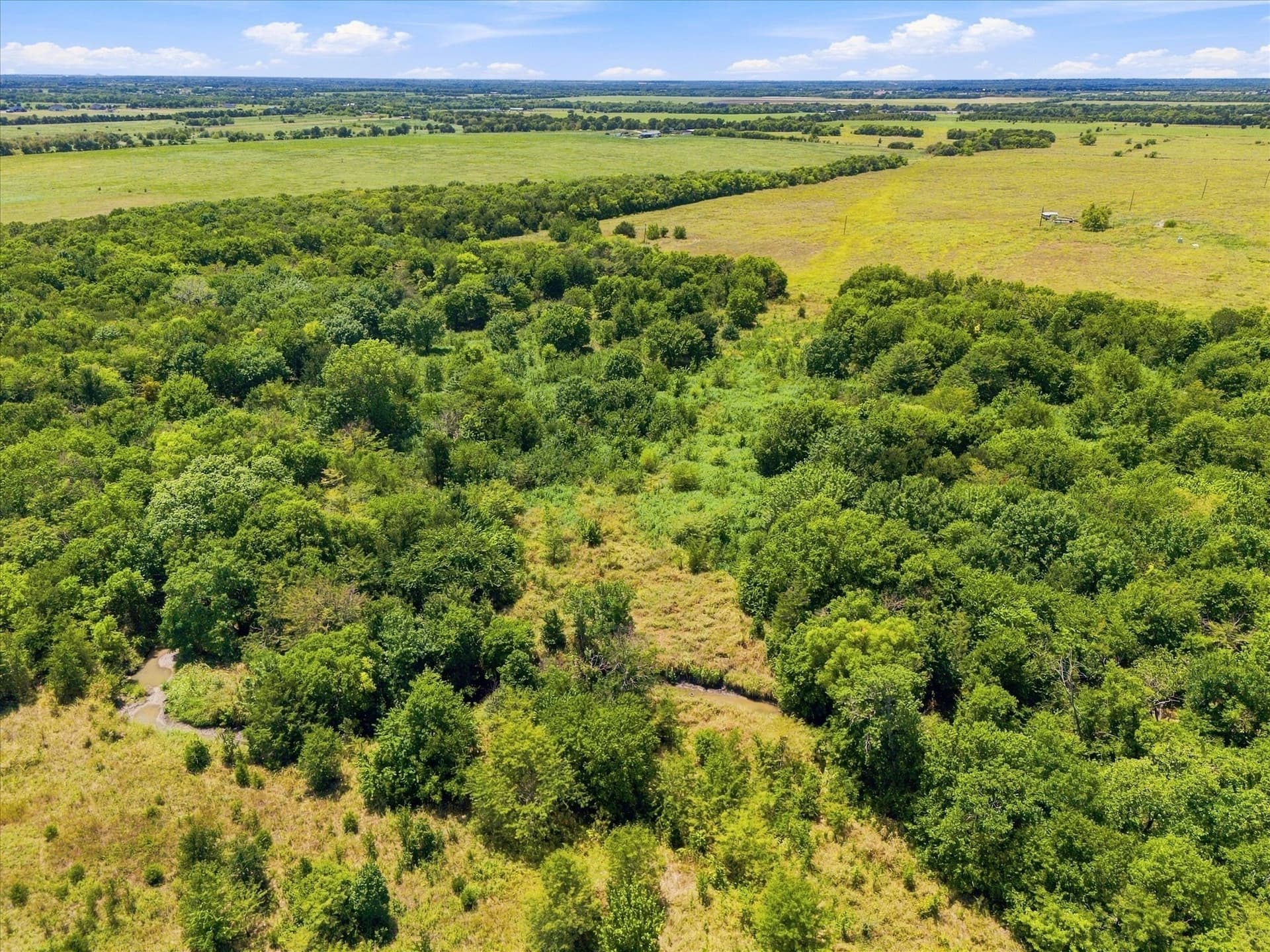 46 acres in Hunt County - photo 23