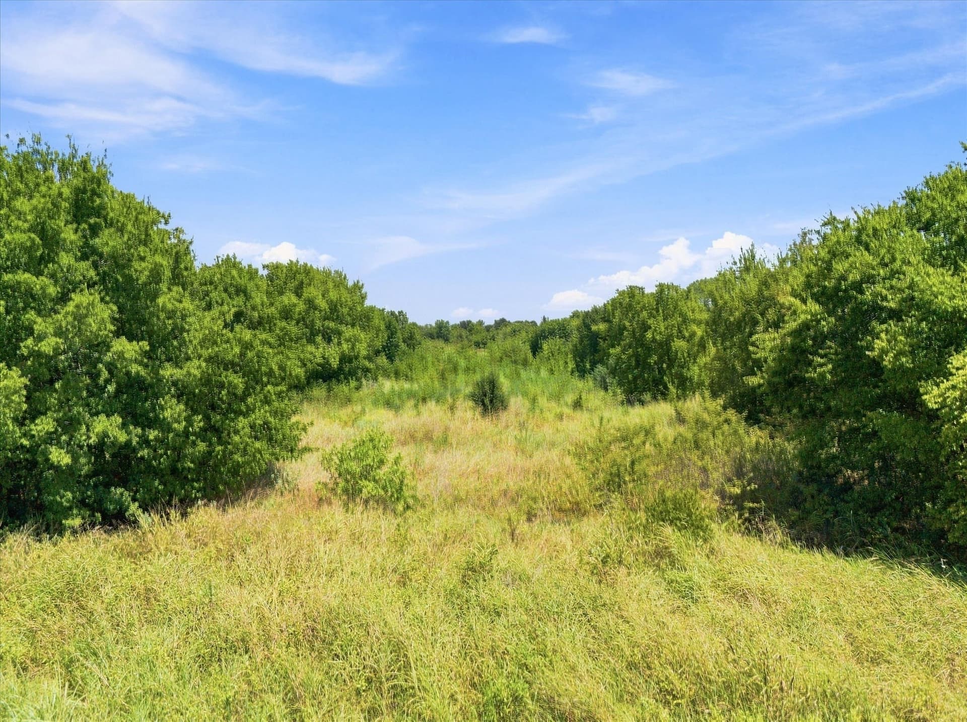46 acres in Hunt County - photo 26