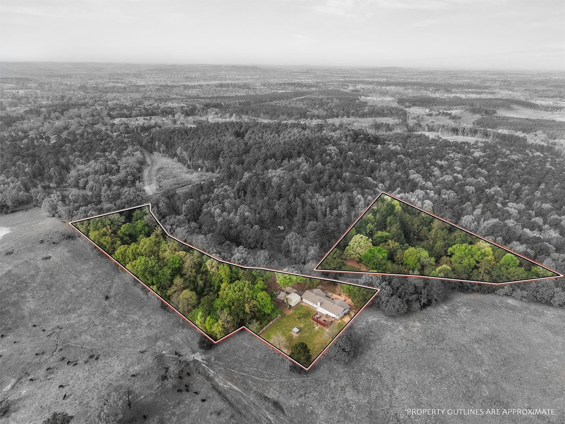 6.88 acres in Morris County - photo 2