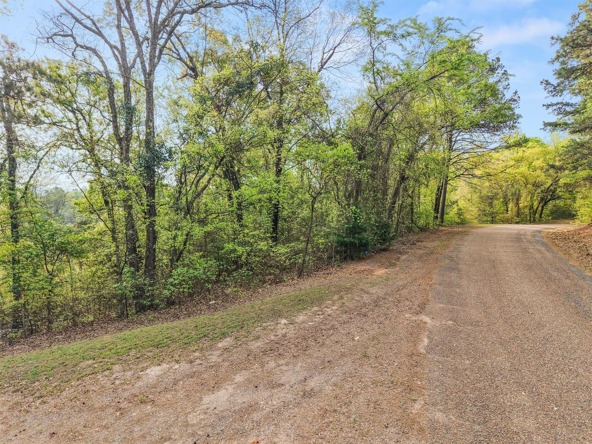 6.88 acres in Morris County - photo 7