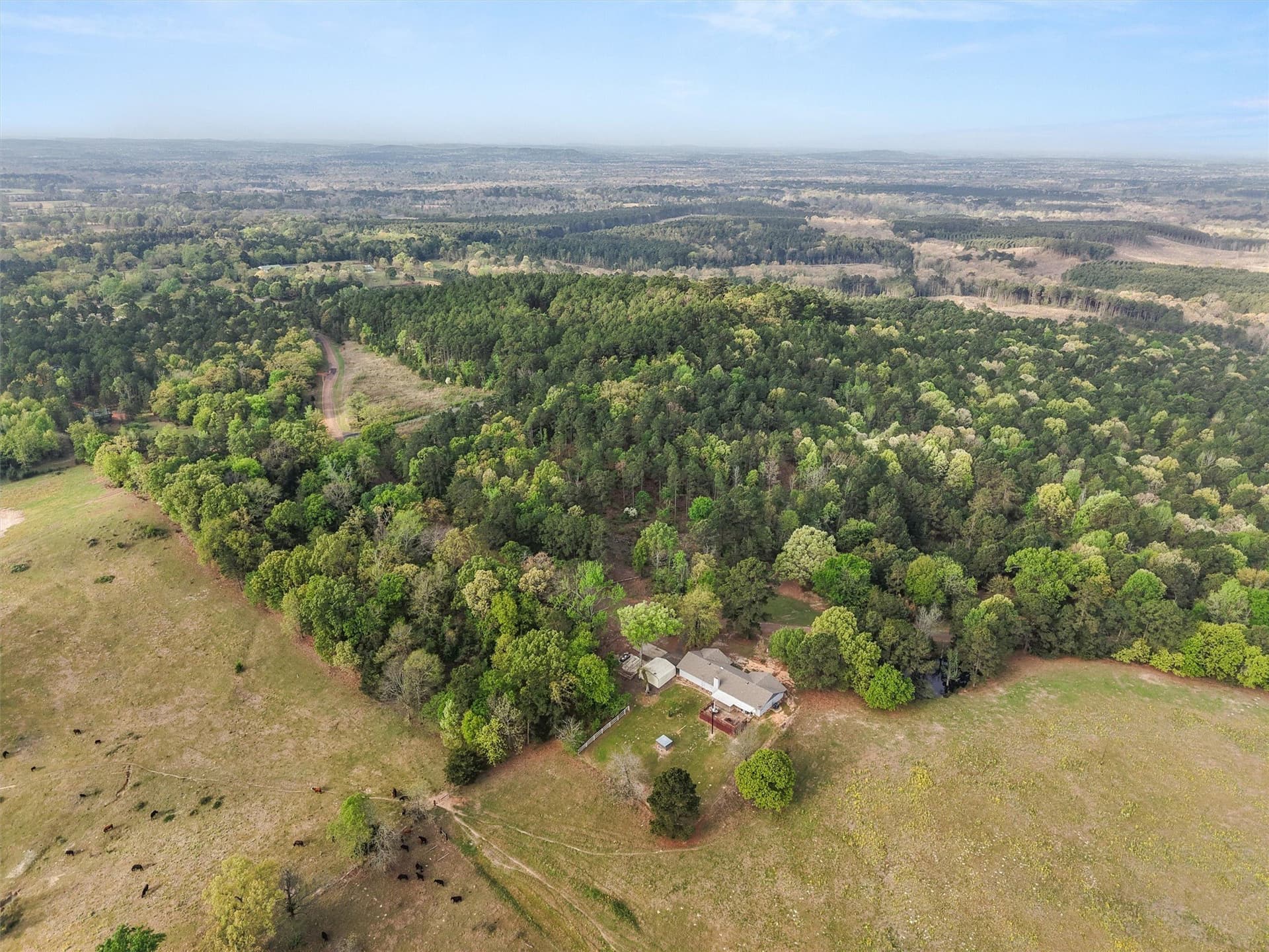 6.88 acres in Morris County - photo 5