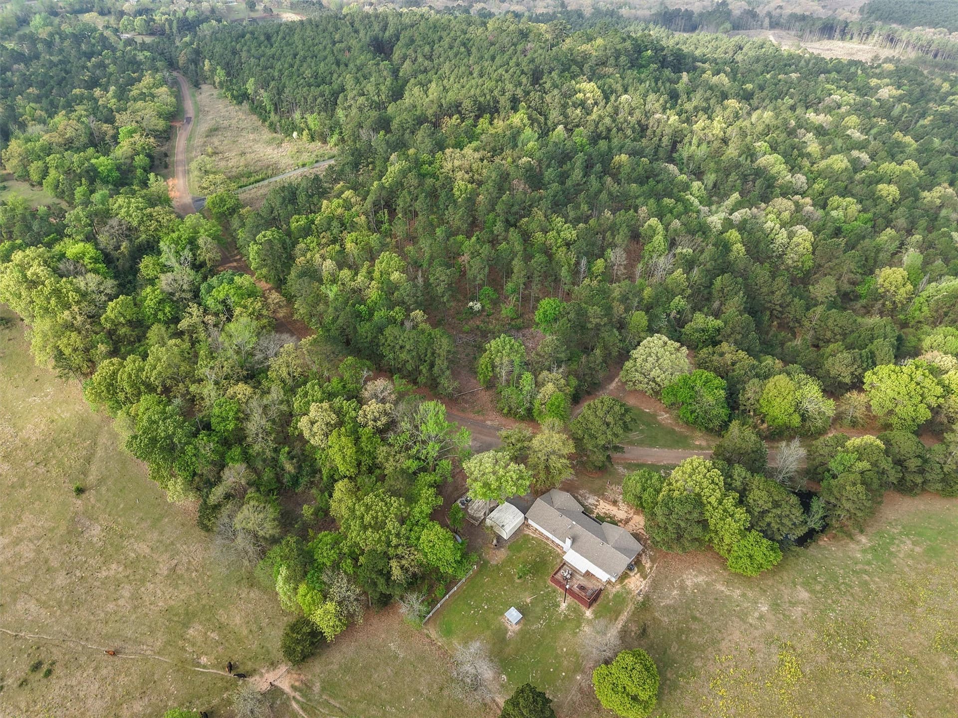 6.88 acres in Morris County - photo 6