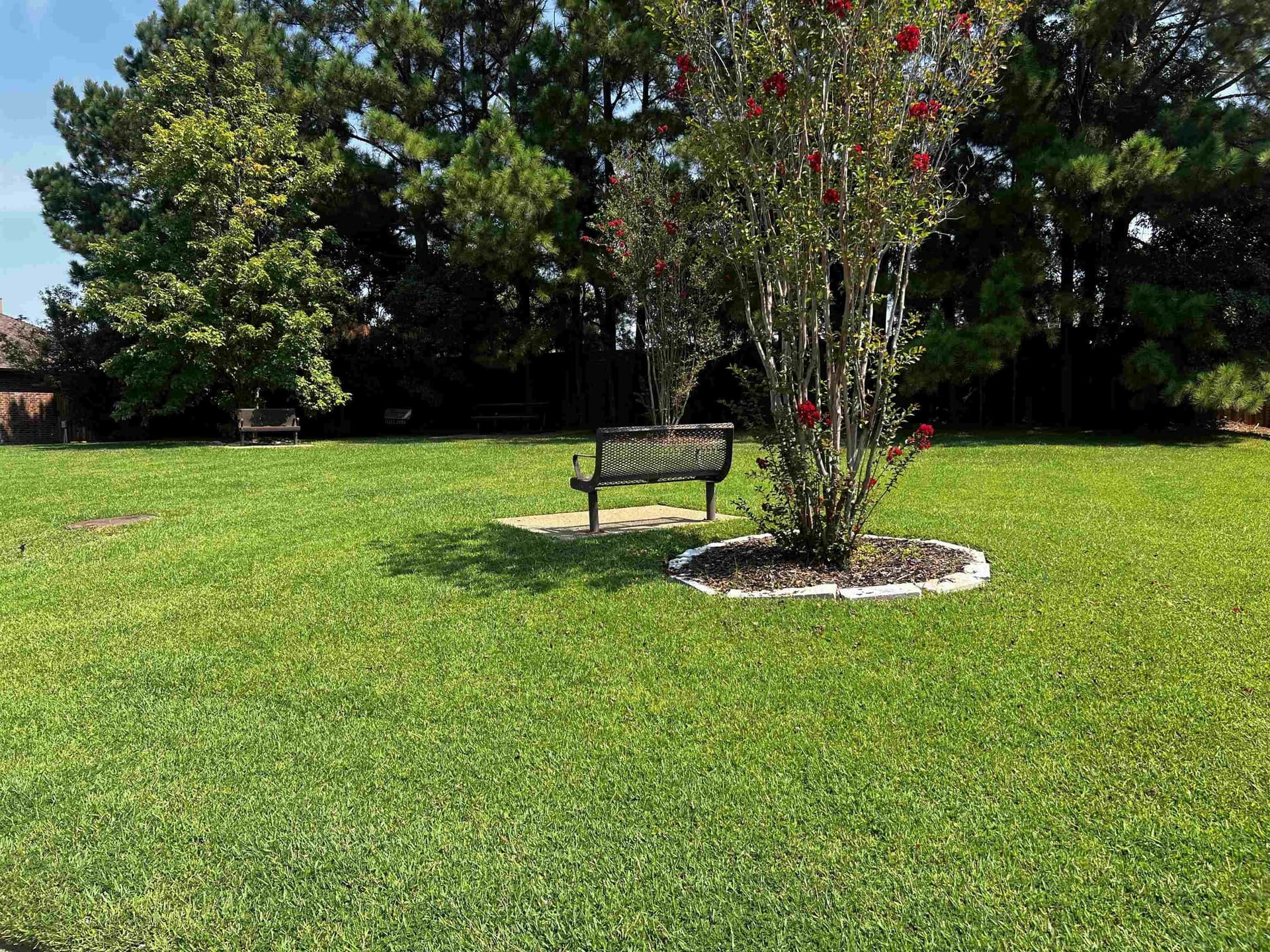 0.17 acres in Gregg County - photo 12