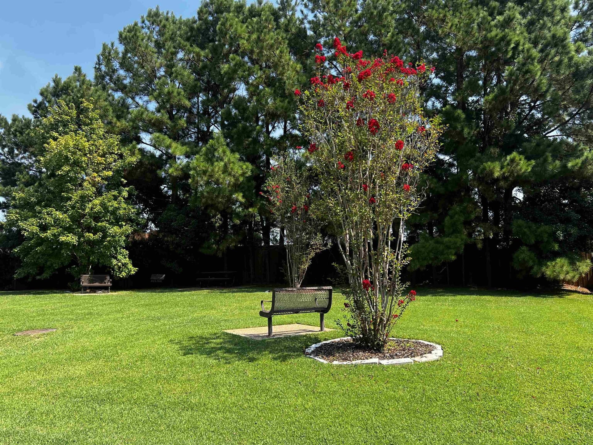 0.17 acres in Gregg County - photo 10