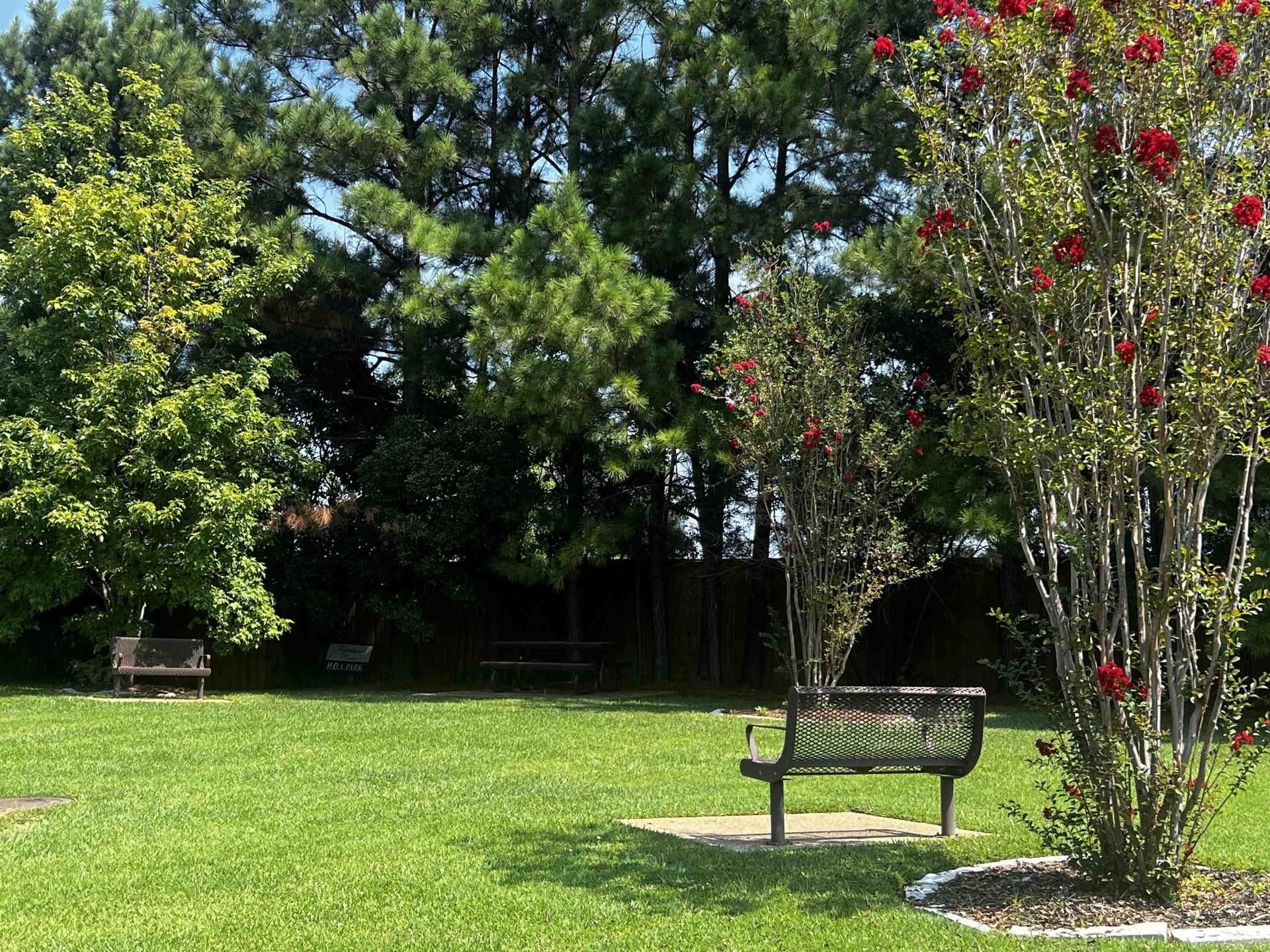 0.17 acres in Gregg County - photo 8
