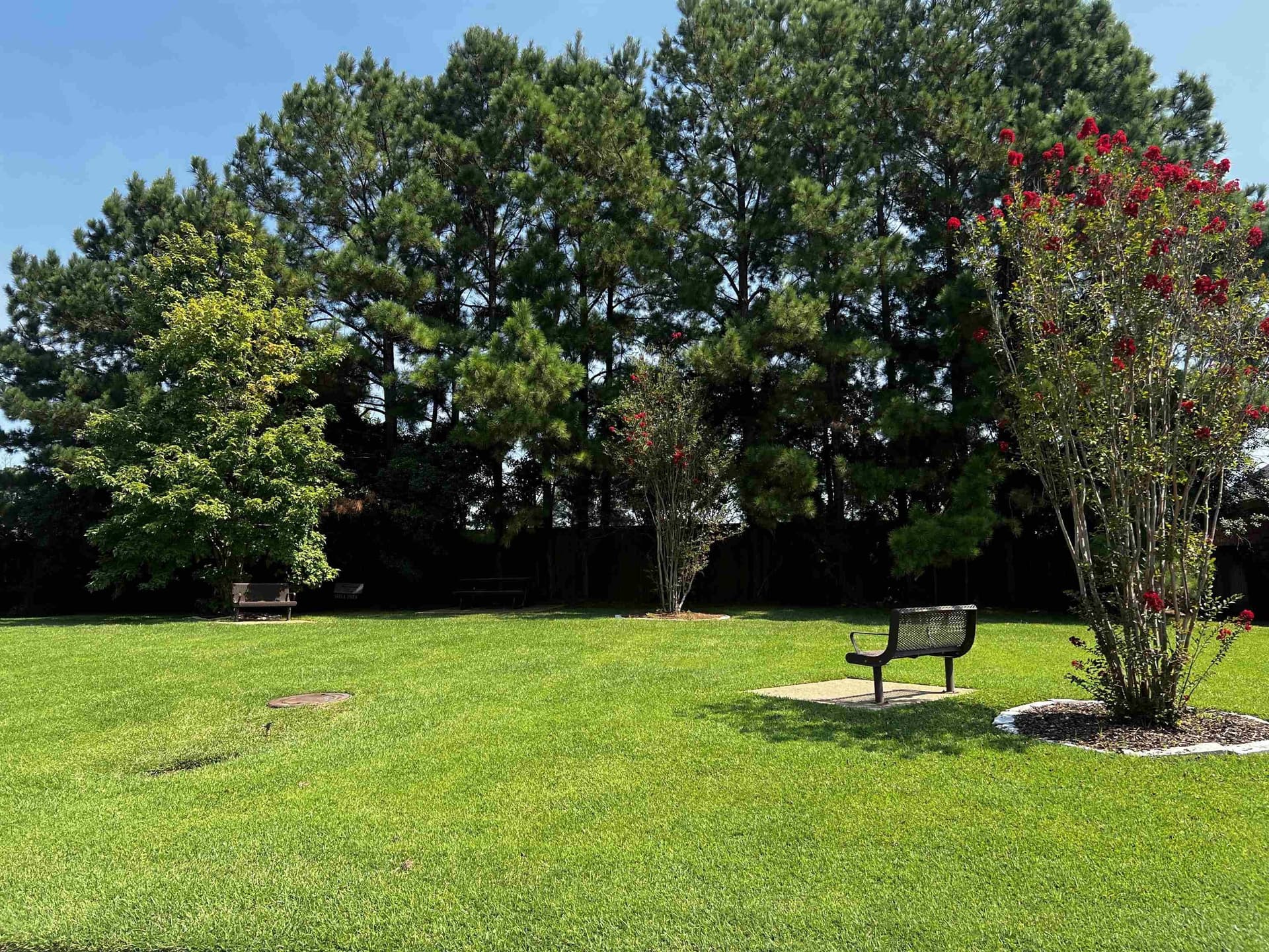 0.17 acres in Gregg County - photo 11