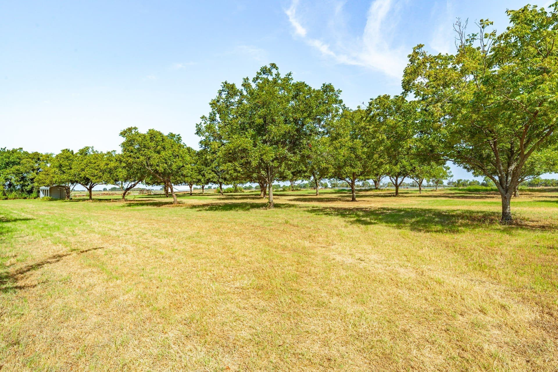 17.52 acres in Denton County - photo 30