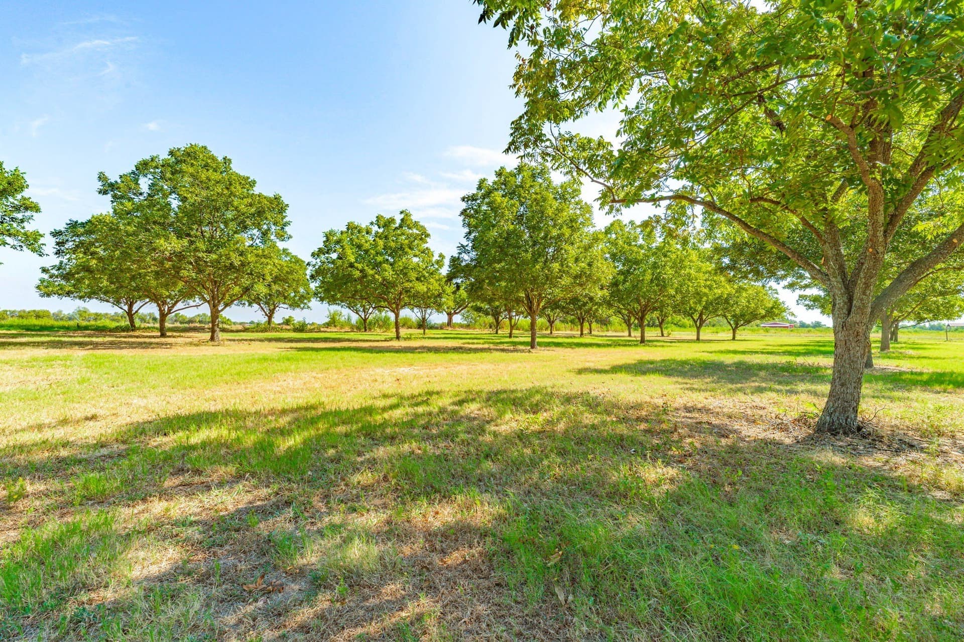 17.52 acres in Denton County - photo 31