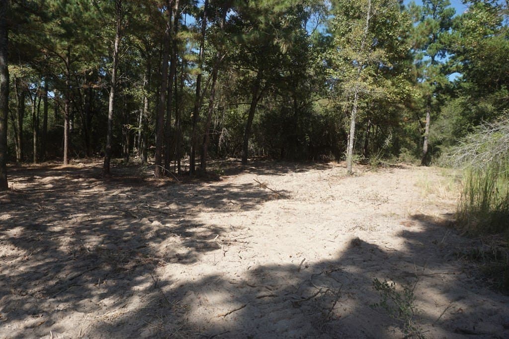 13.94 acres in ANDERSON County - photo 7