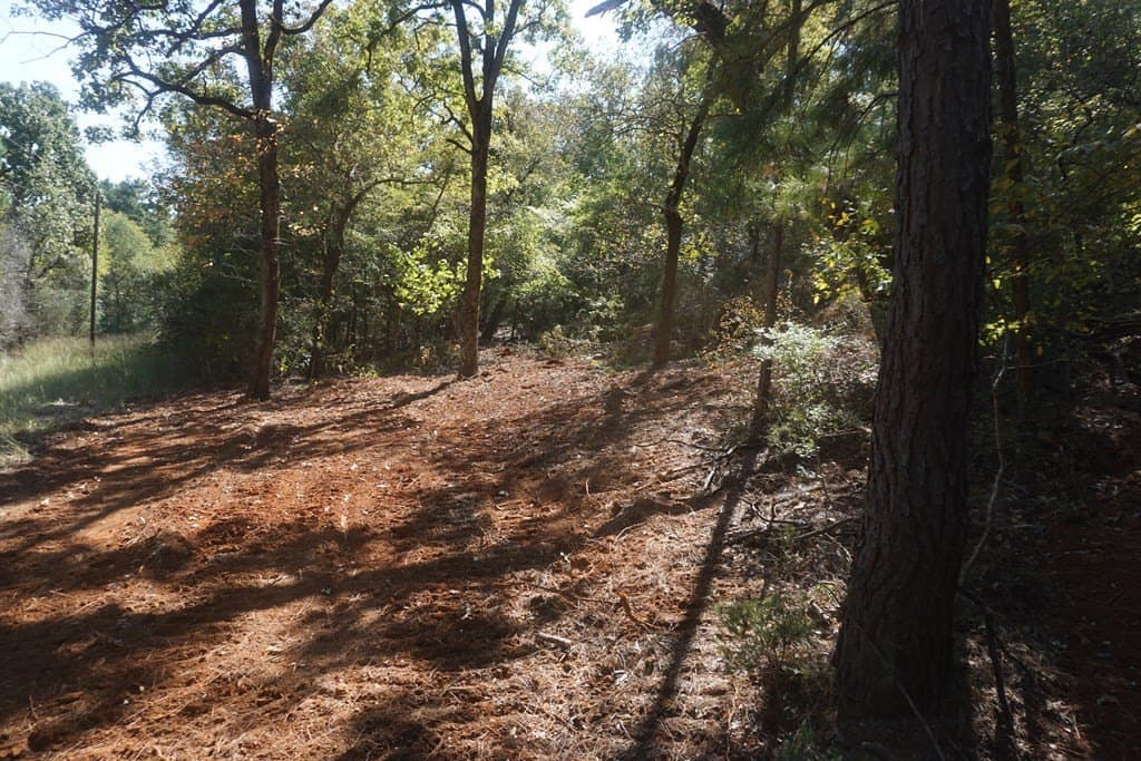 13.94 acres in ANDERSON County gallery image 2
