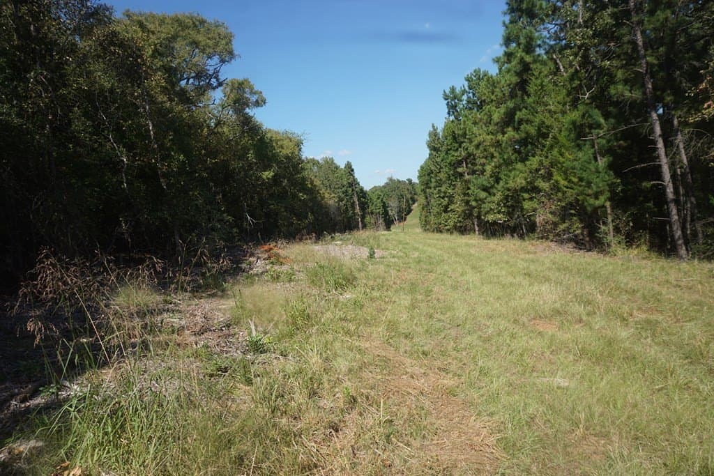 13.94 acres in ANDERSON County - photo 10