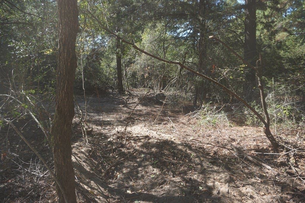 13.94 acres in ANDERSON County - photo 8