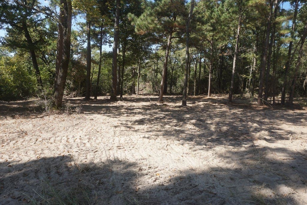 13.94 acres in ANDERSON County - photo 6