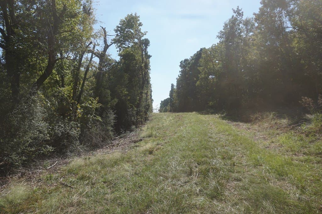 13.94 acres in ANDERSON County gallery image 3