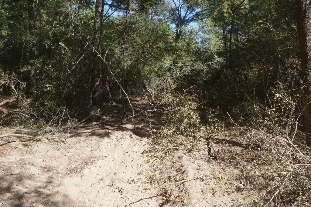 13.94 acres in ANDERSON County - photo 9