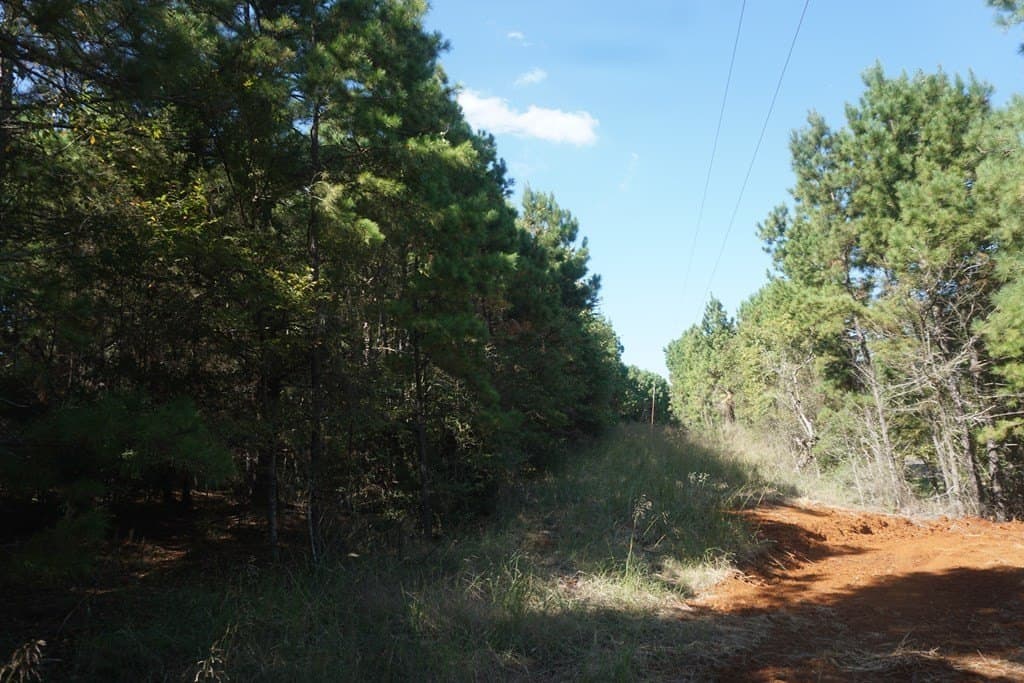 13.94 acres in ANDERSON County - photo 11
