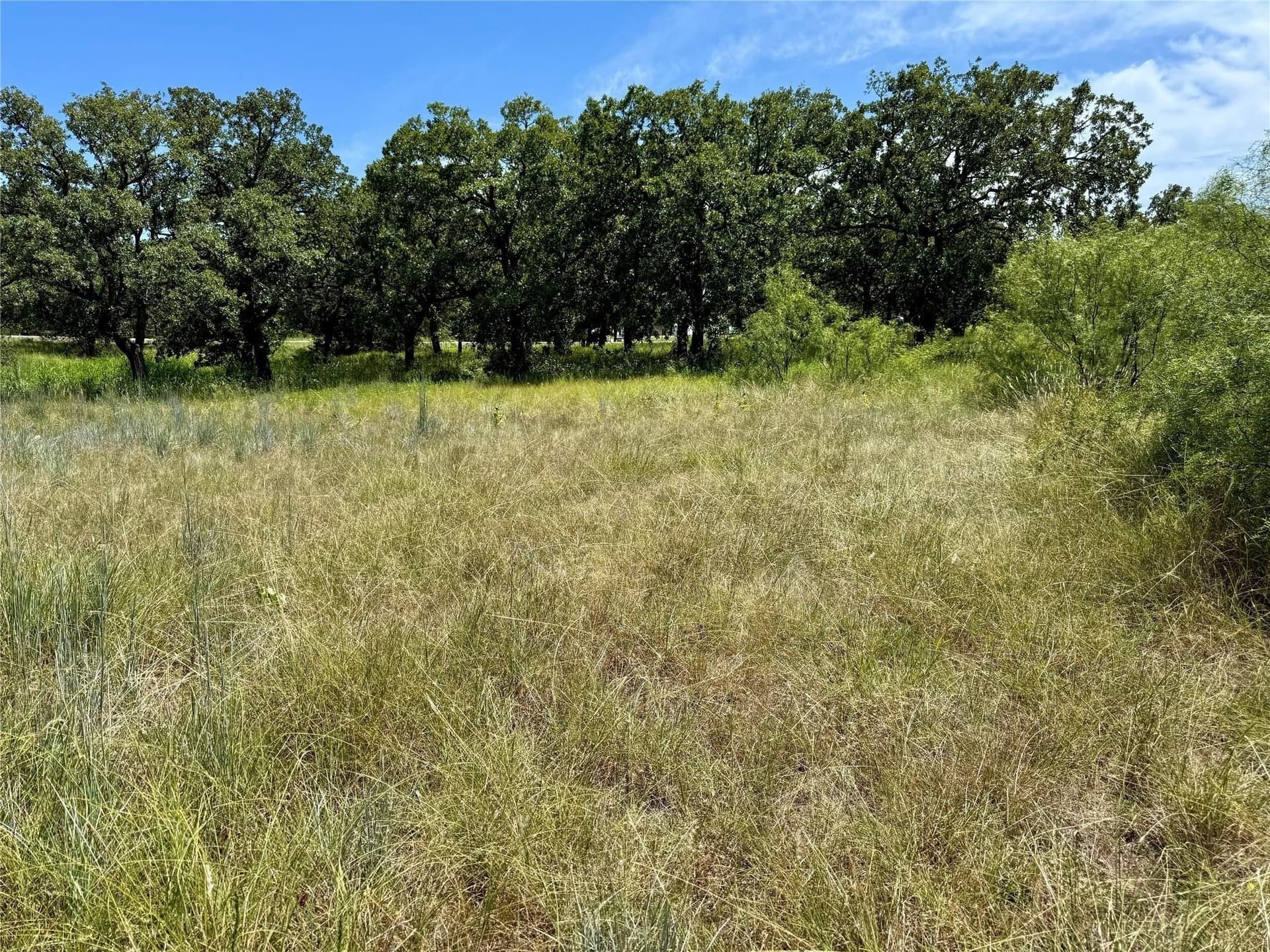 22.5 acres in Montague County - photo 4