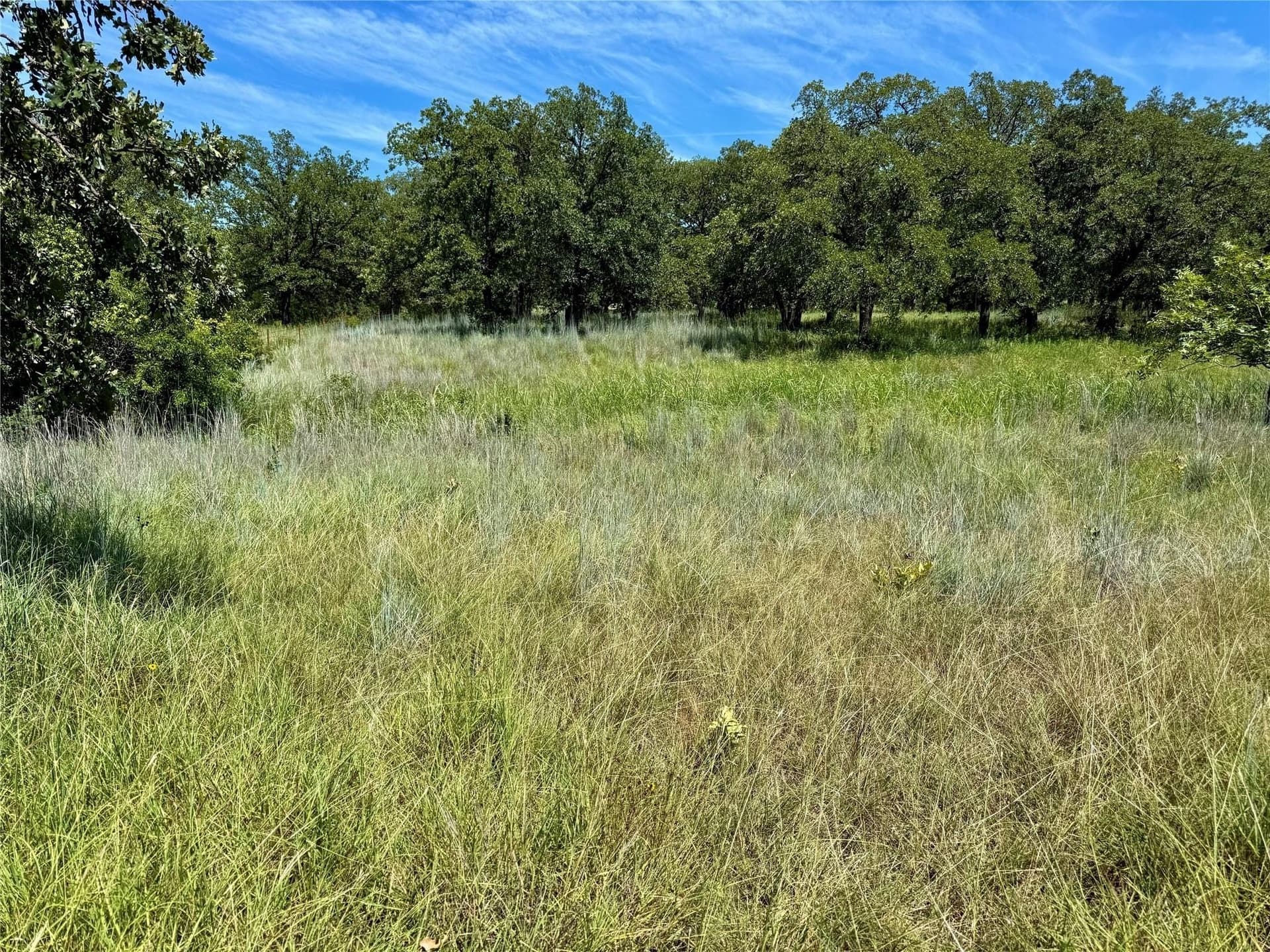 22.5 acres in Montague County - photo 5