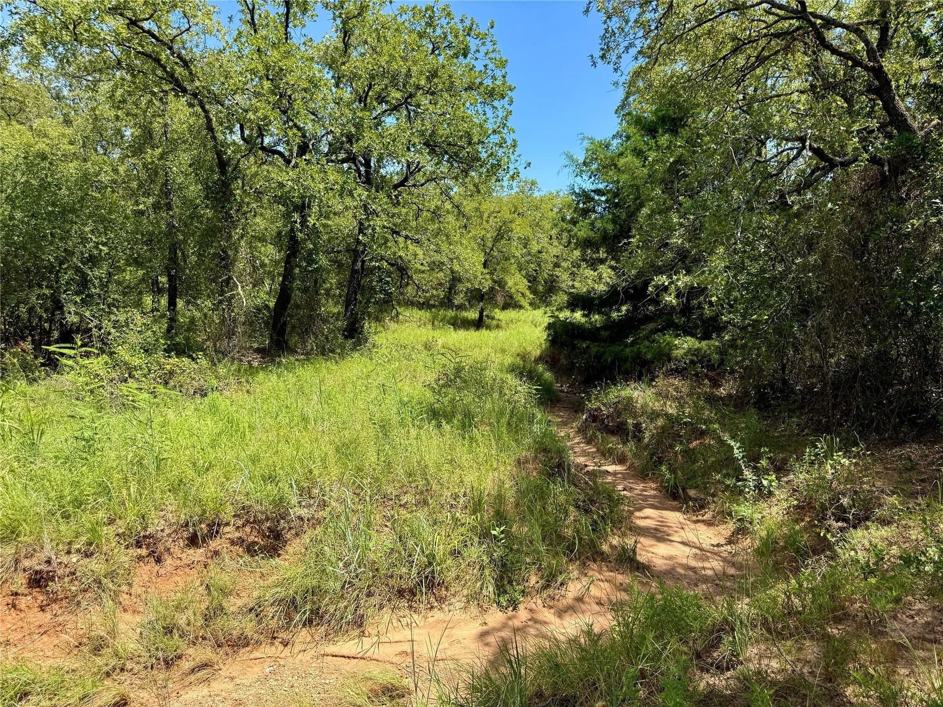 22.5 acres in Montague County - photo 6
