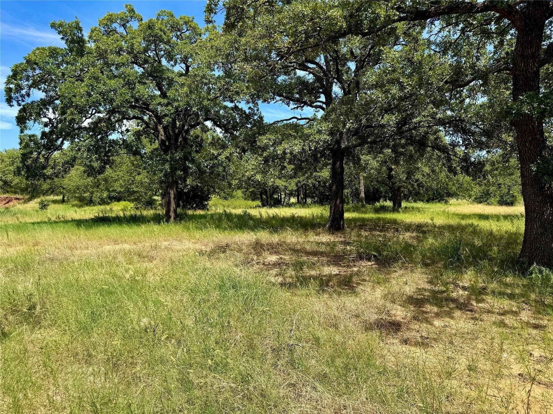 22.5 acres in Montague County - photo 15