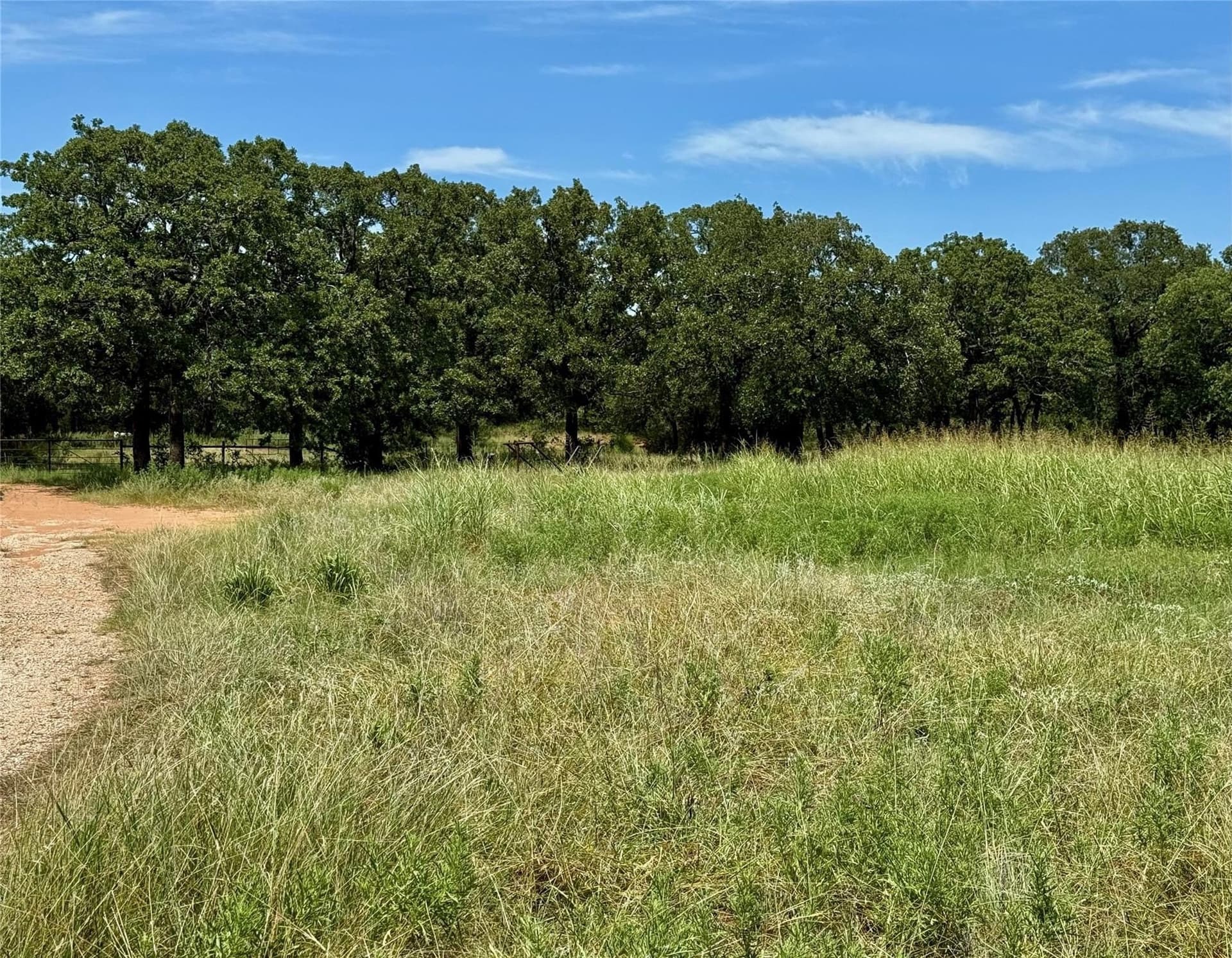 22.5 acres in Montague County - photo 22
