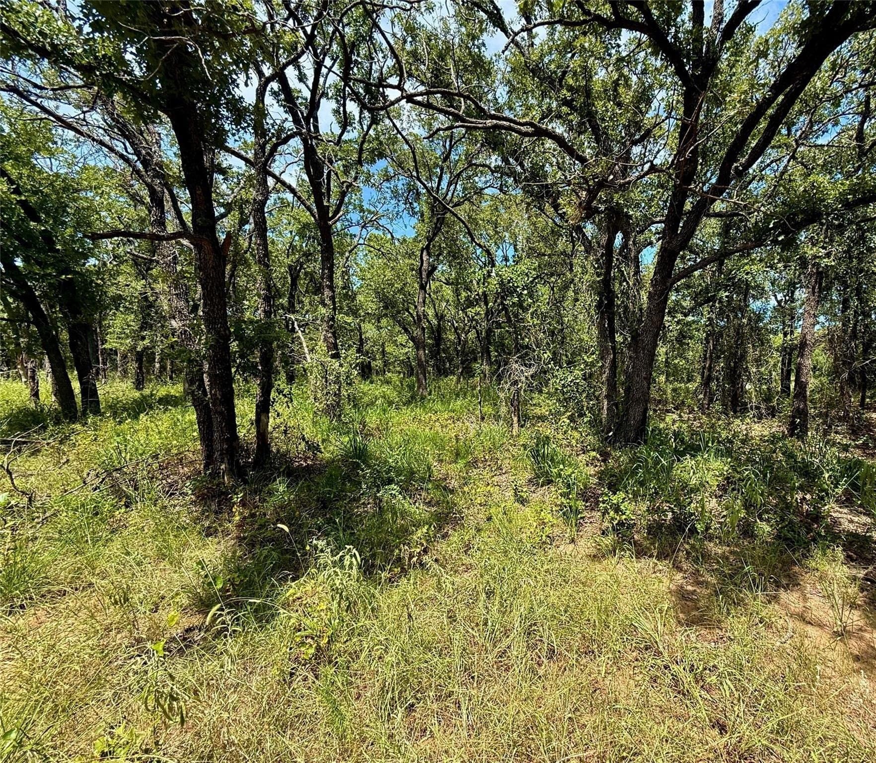 22.5 acres in Montague County - photo 17