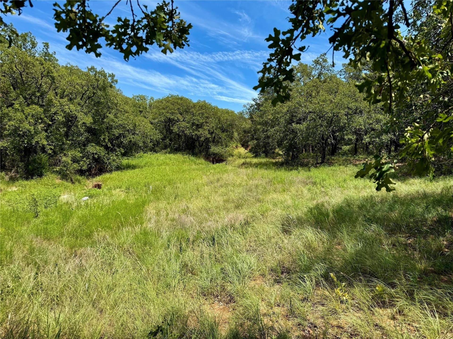 22.5 acres in Montague County - photo 12
